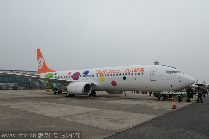 China's budget aviation sector has new comer