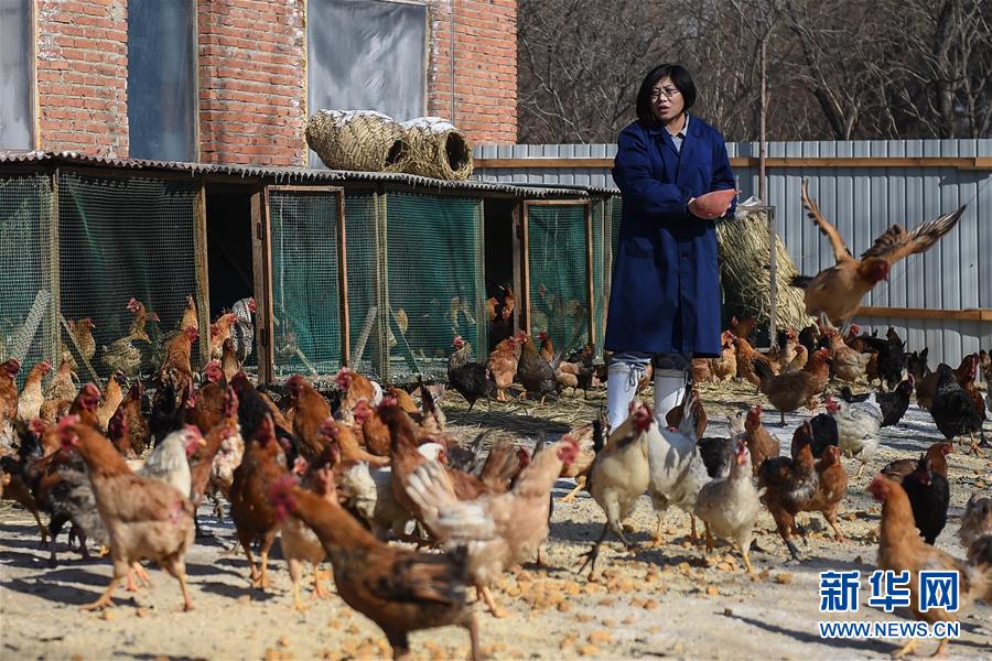 Young woman's businesses thrive in rural Jilin