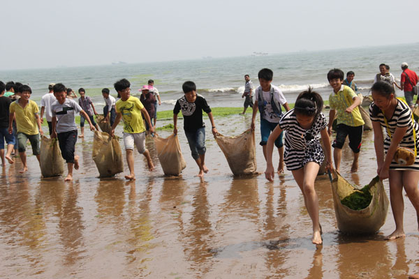 Hazardous algae cleared from China's waters