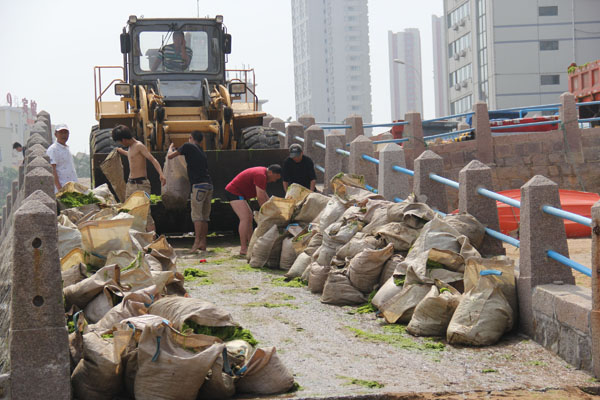 Hazardous algae cleared from China's waters