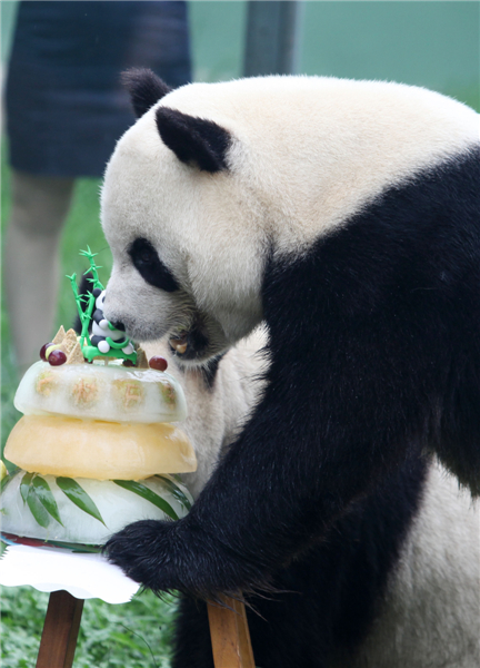 What do pandas like for birthdays?