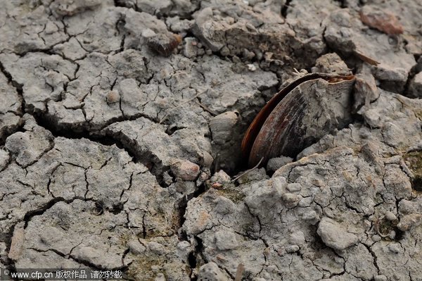 Drought scorches parts of China