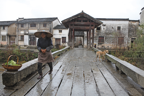 Bridging hope and history