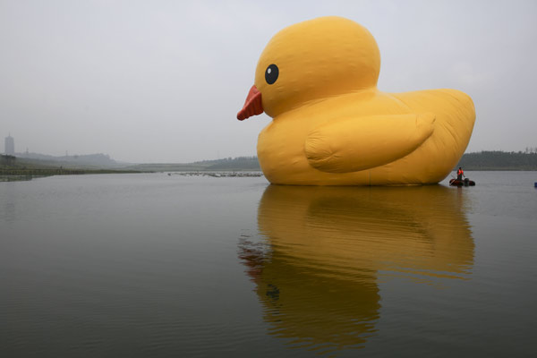 Giant rubber duck comes to life in Beijing