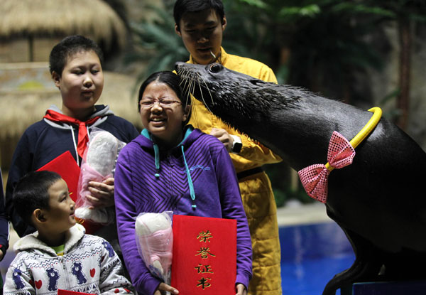 Sea lion greets painting contest champion