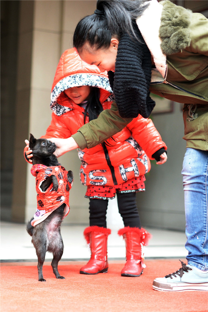 Walking dog in SW China