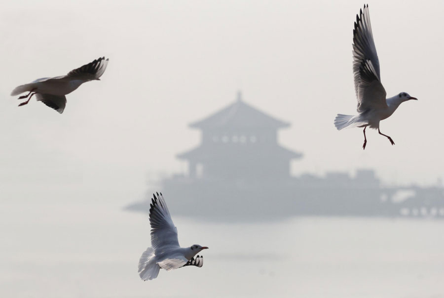 Chinese cities wrapped in smog