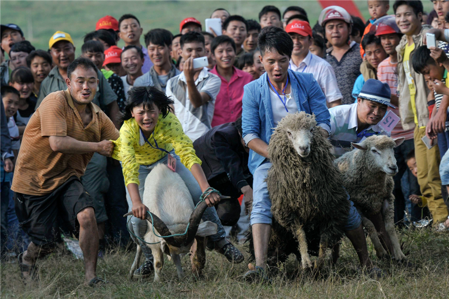 China Daily Pictures of the Year 2014