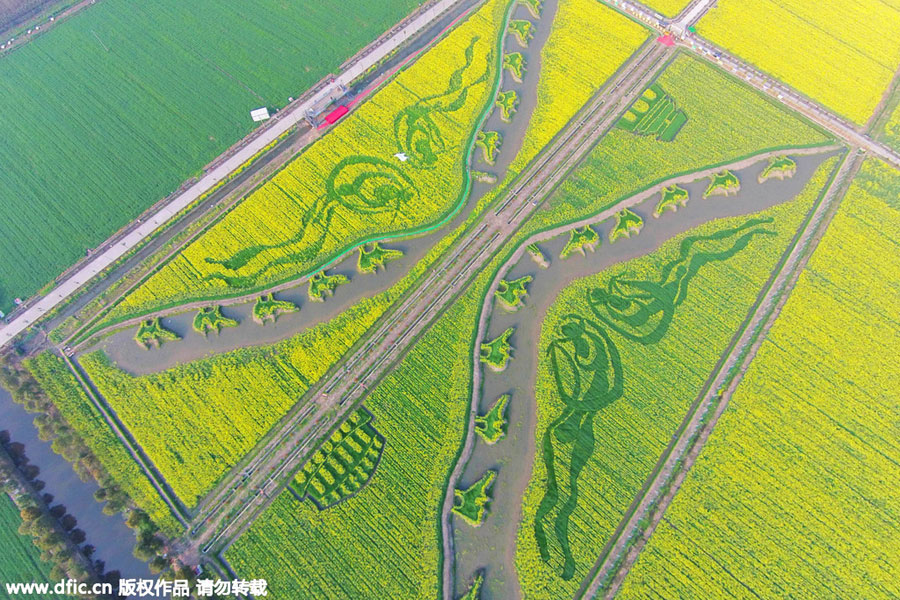 'Silk Road' captured in planted field