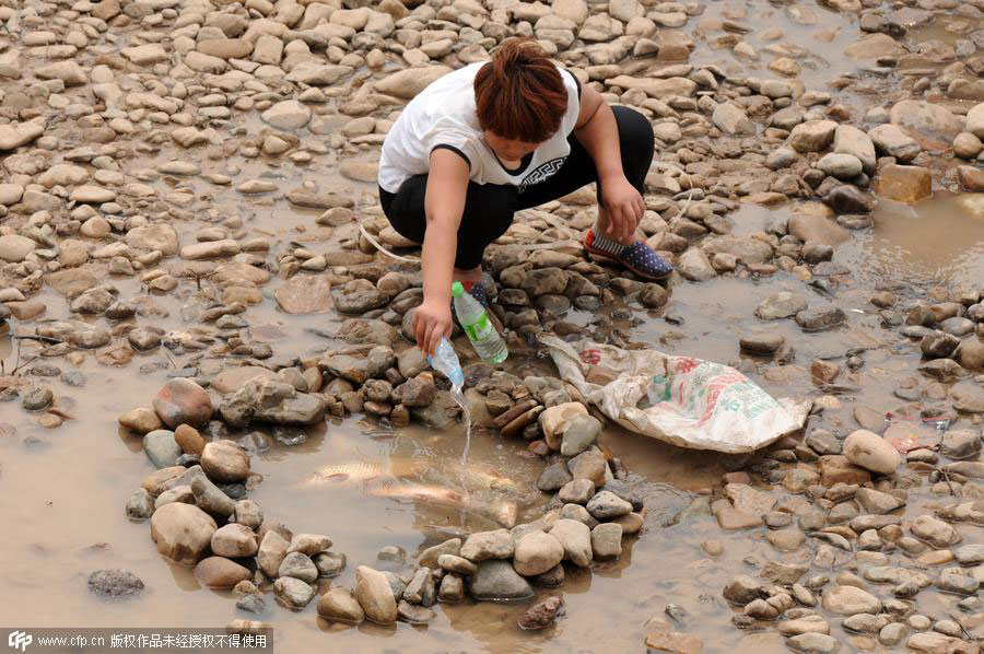 Bonus catch of the day for amateur fishermen