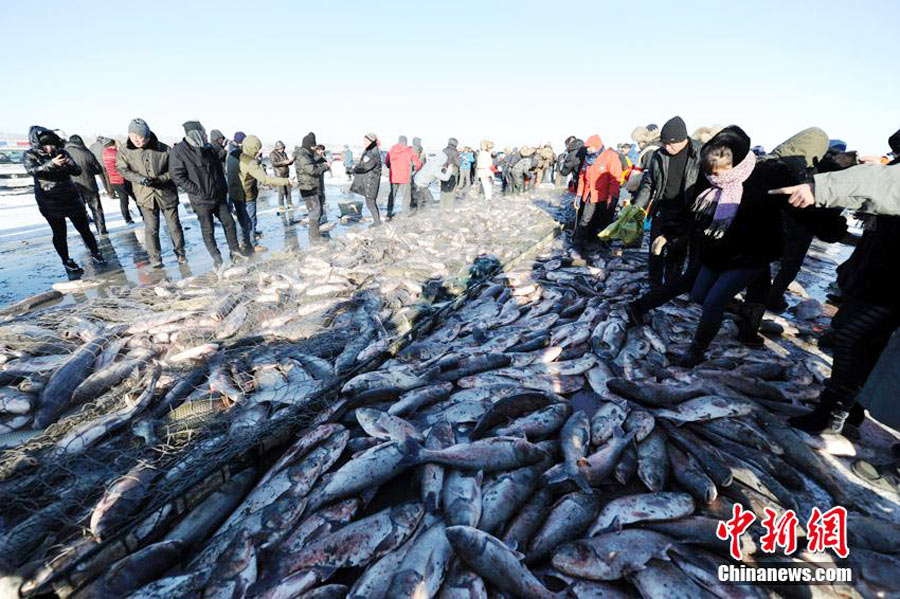 First fish at Chagan Lake's winter fishing earns $121,646