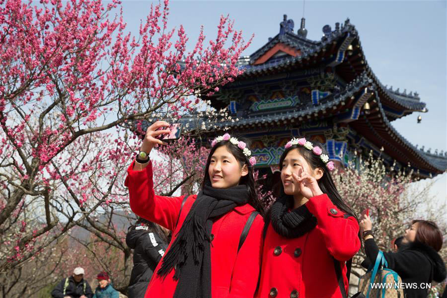 Trees blossom across China as temperature rises