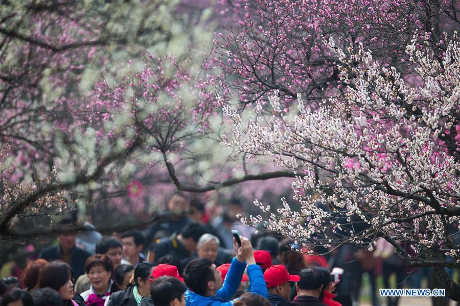 People view plum blossoms at scenic area in E China