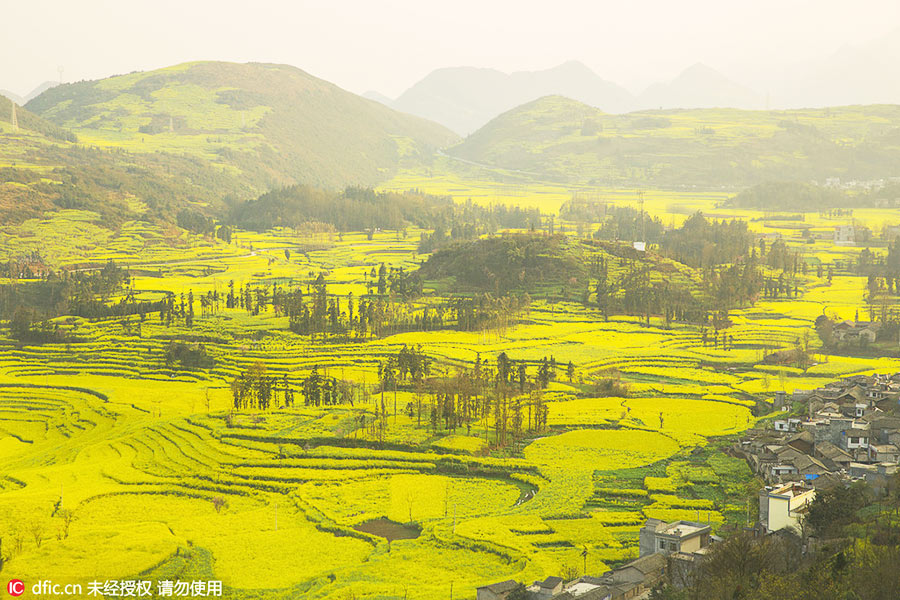 Discover beautiful China in spring blossom (IV)