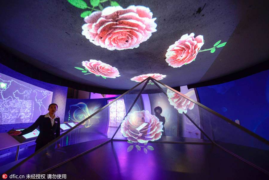 World's first rose museum to open in Beijing