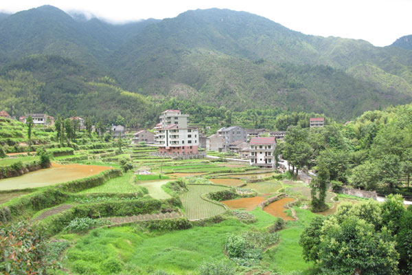 1,000-year-old agricultural practice, China's solution to sustainable farming