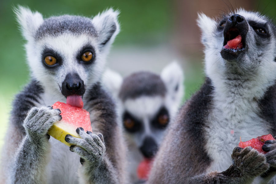 Ten photos from around China: July 29 – Aug 4