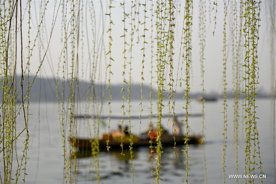 In pics: scenery of 11th G20 summit host city