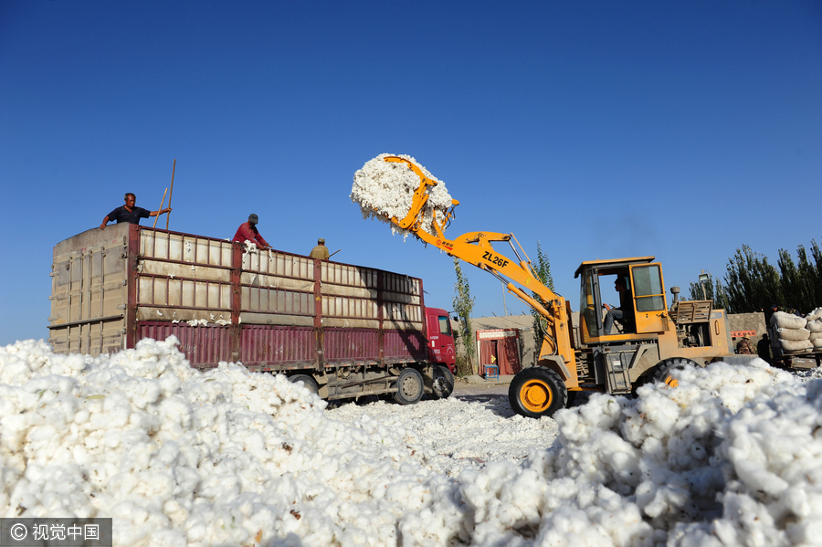 400,000 migrant workers flock to Xinjiang to harvest cotton