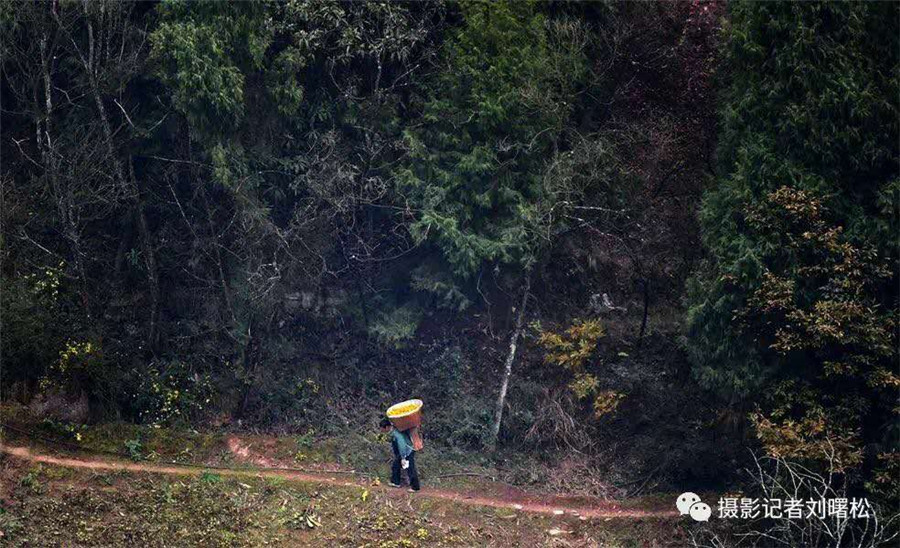 Cableway brings hope to orange farmers