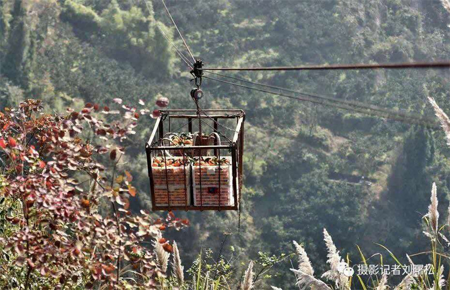 Cableway brings hope to orange farmers