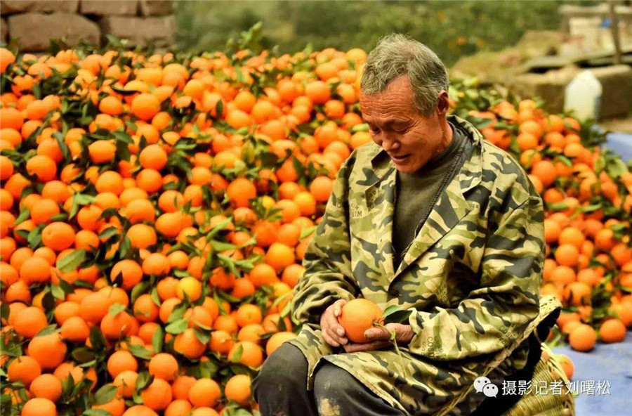 Cableway brings hope to orange farmers