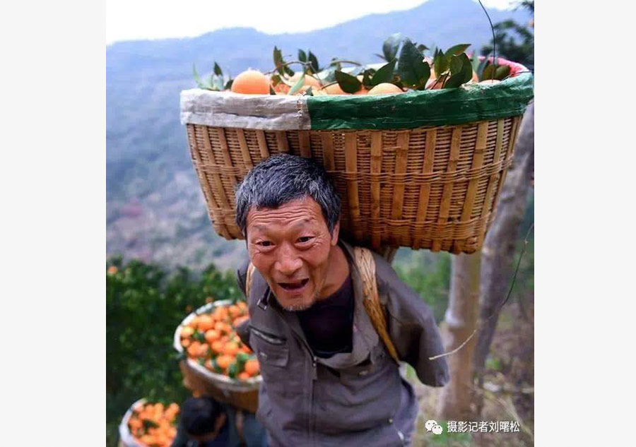 Cableway brings hope to orange farmers