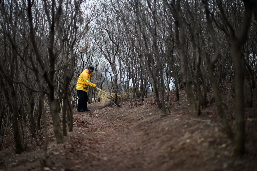 Man spends Spring Festival guarding mountain alone