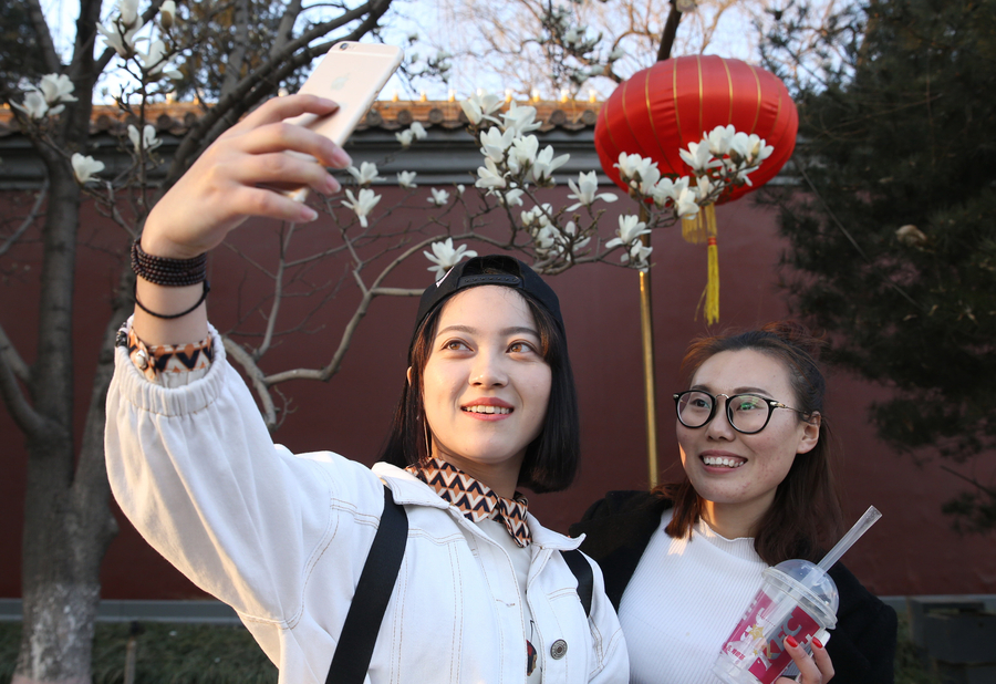 Magnolia flowers blossom along Changan Avenue in Beijing