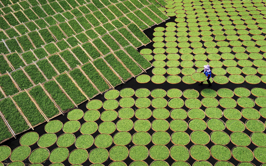 Chinese photographers win Sony World Photography Awards