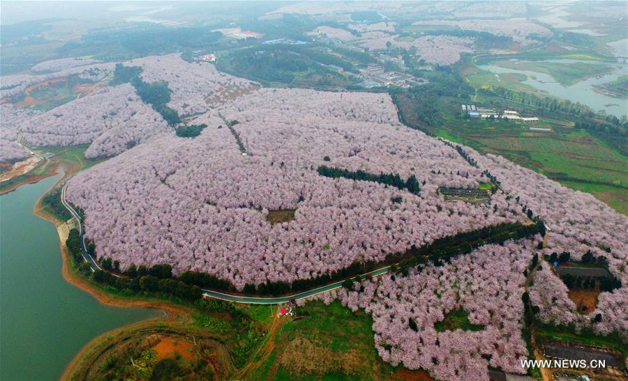 Spring scenery across China