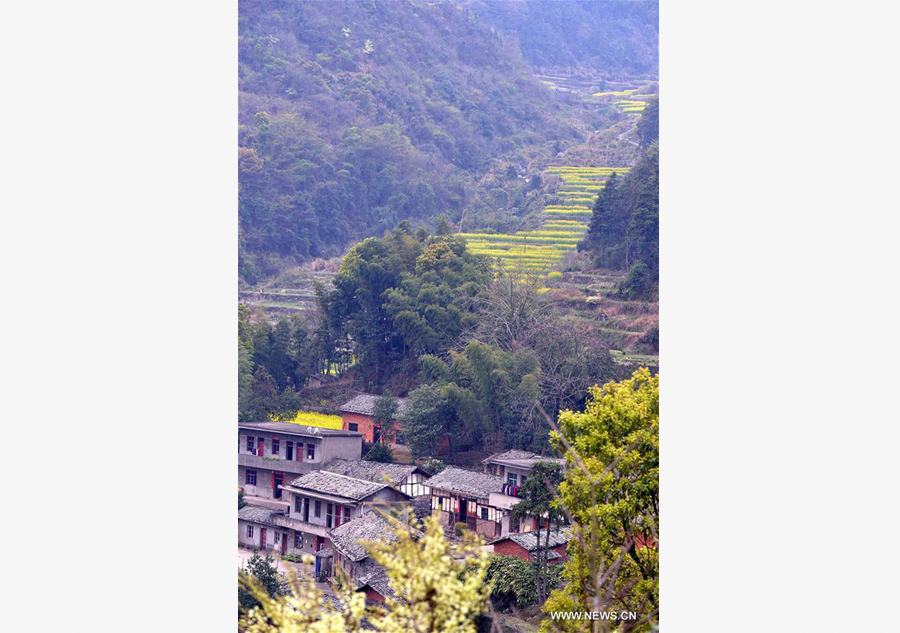 Spring scenery across China