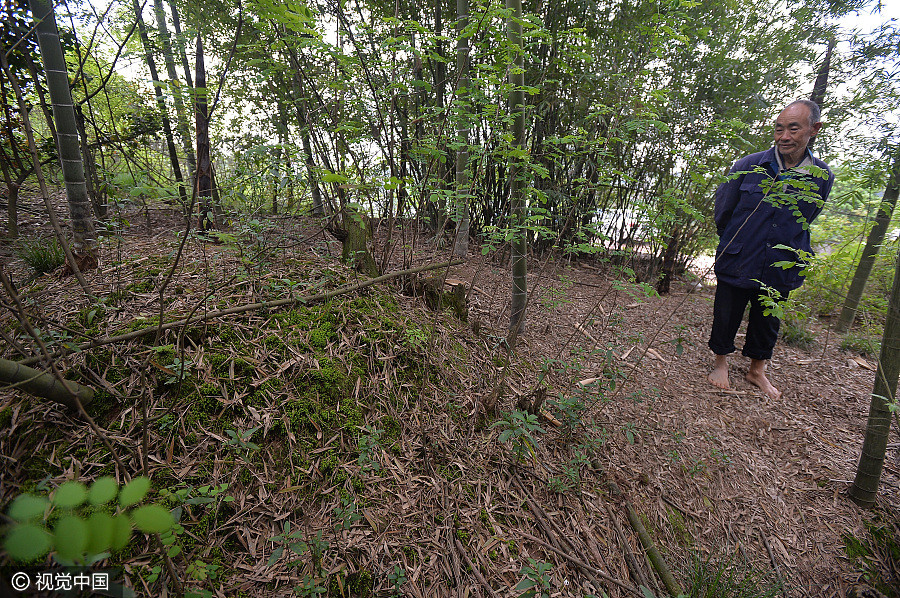 Taiwan veteran finds long lost family in Sichuan