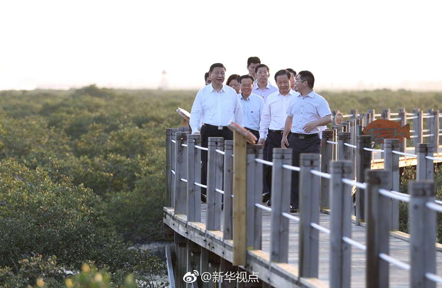 Xi: Belt and Road Initiative makes mark in global community