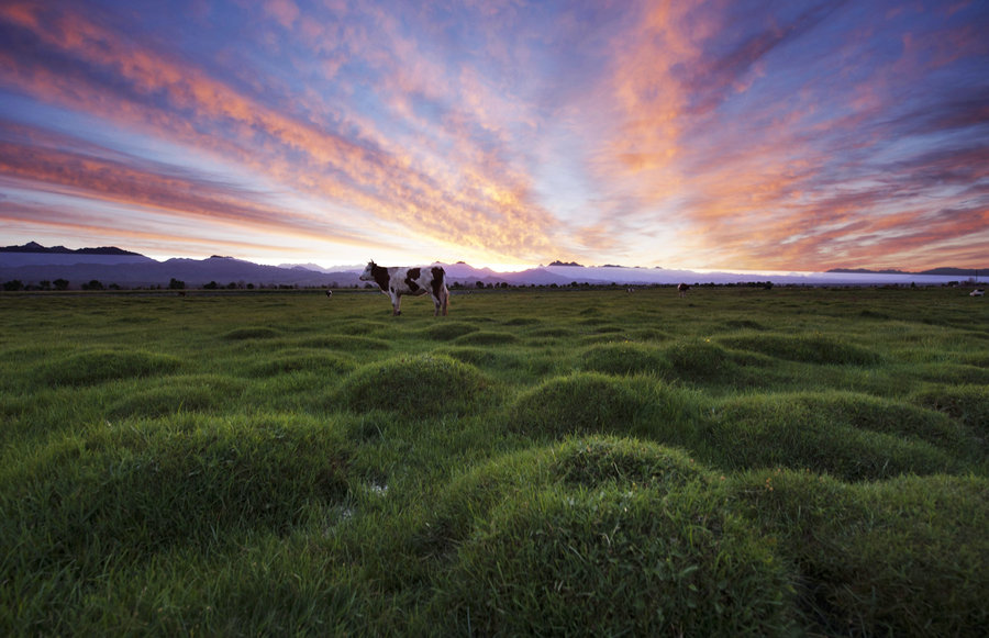 The natural beauty of Xinjiang amazes people