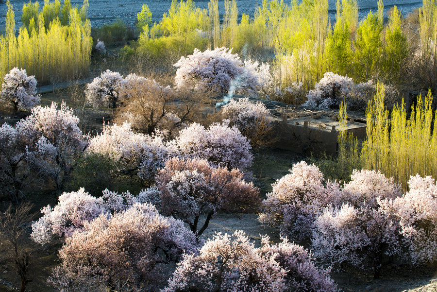 The natural beauty of Xinjiang amazes people