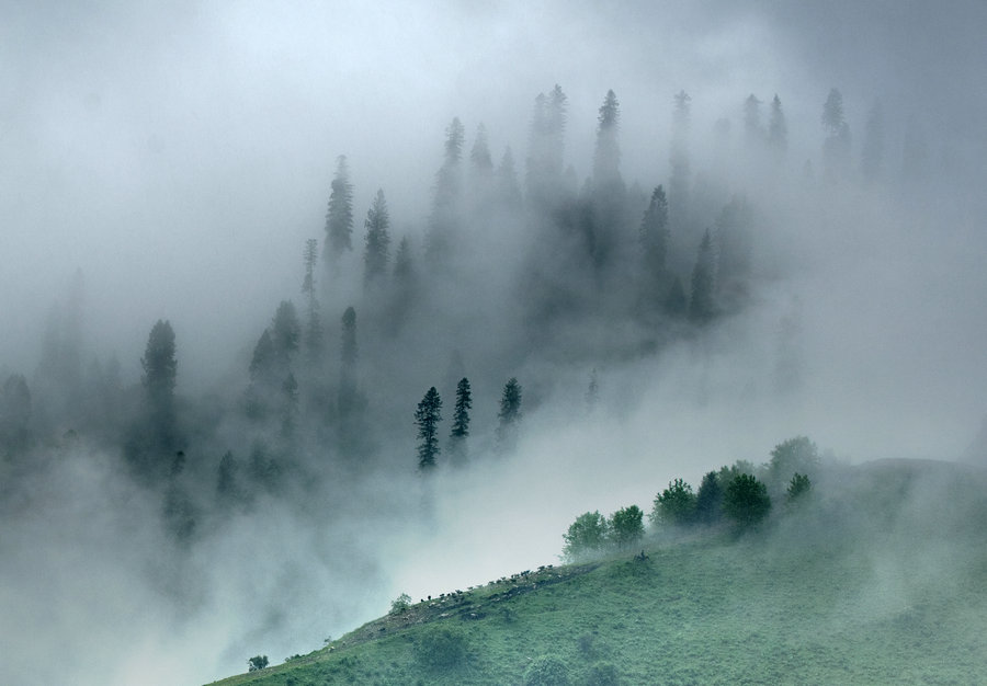 The natural beauty of Xinjiang amazes people