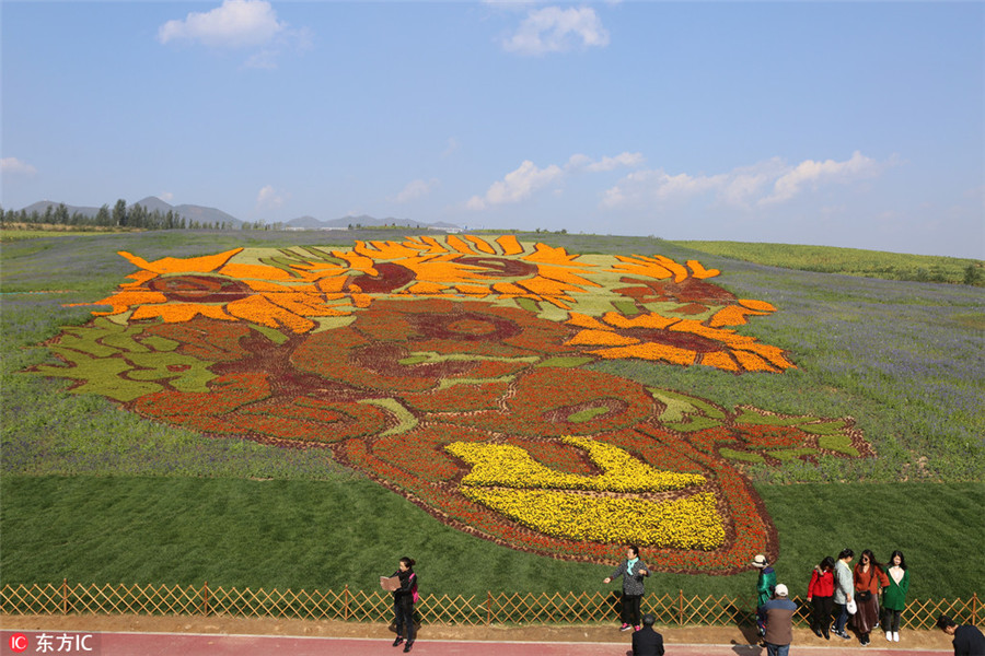 Ten photos from across China: Oct 13-19