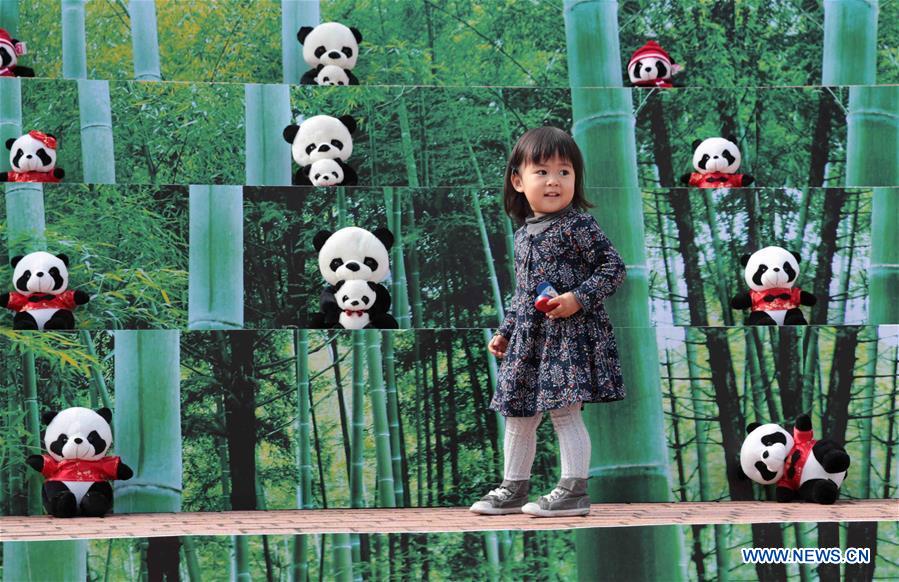 Temple fair kicks off in Hong Kong