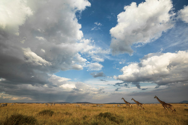 Mother Nature through a woman's lens