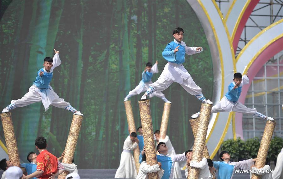 In pics: opening ceremony of cultural, artistic performance in SW China