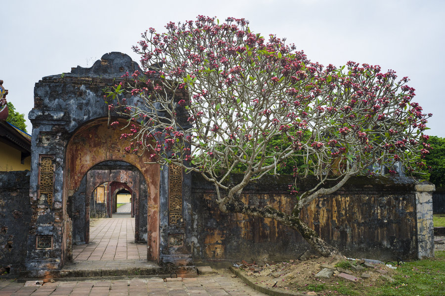 Vietnam as seen through Chinese photographers' lenses