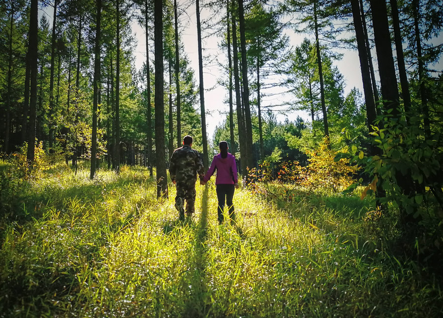 Saihanba National Forest Park inspires art exhibit