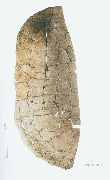 Oracle bones added to UNESCO world memory register