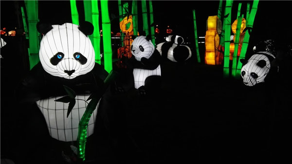 Chinese giant lanterns illuminate Edinburgh Zoo