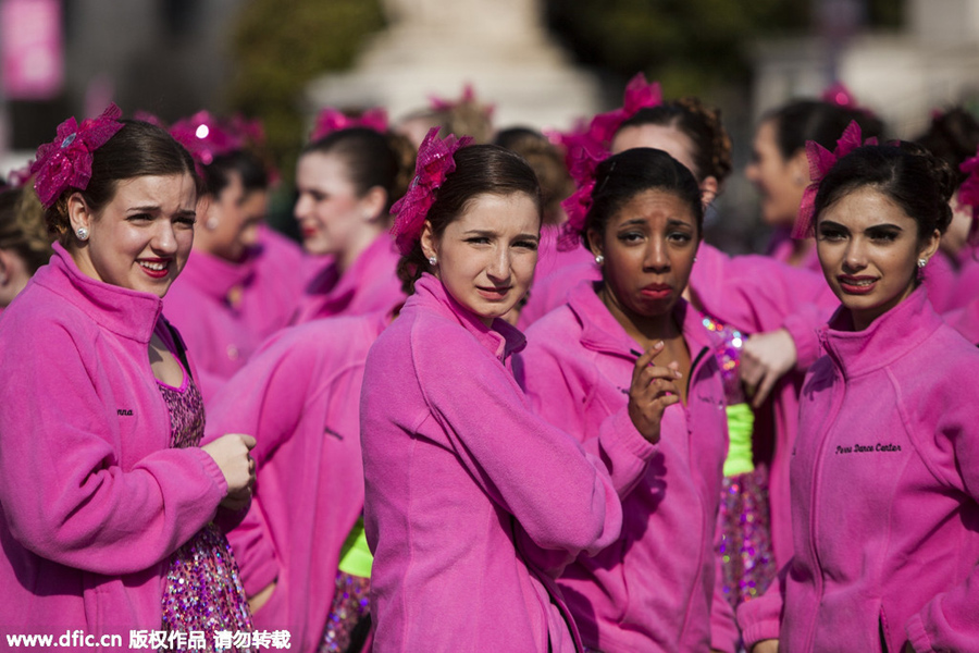 National festival underway with cherry blossoms in peak bloom