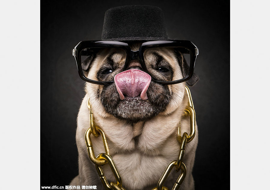 When pups catch up to hip-hop style