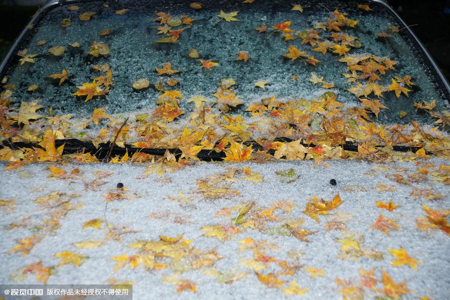 Beijing embraces first snow of the season