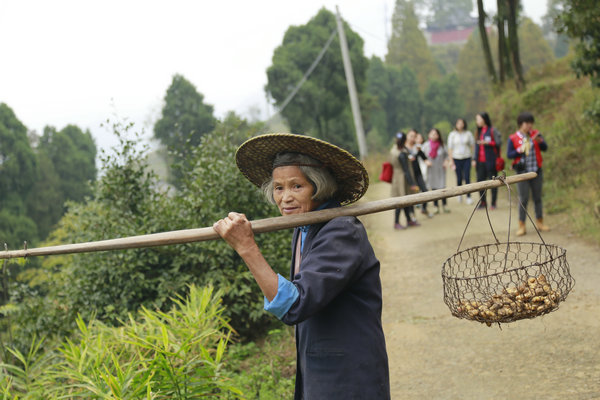 Chinese Buddhism's birthplace remains a place of pilgrimage