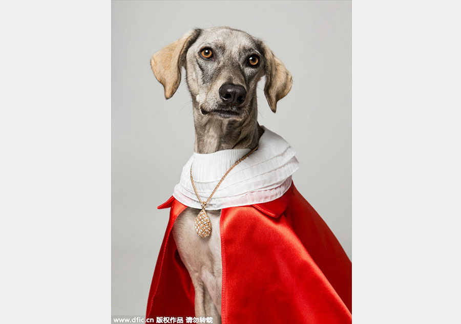 Photographer presents 'aristopets'